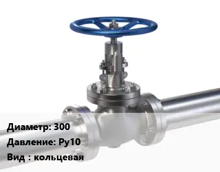Задвижка нержавеющая 300 Ру10 кольцевая